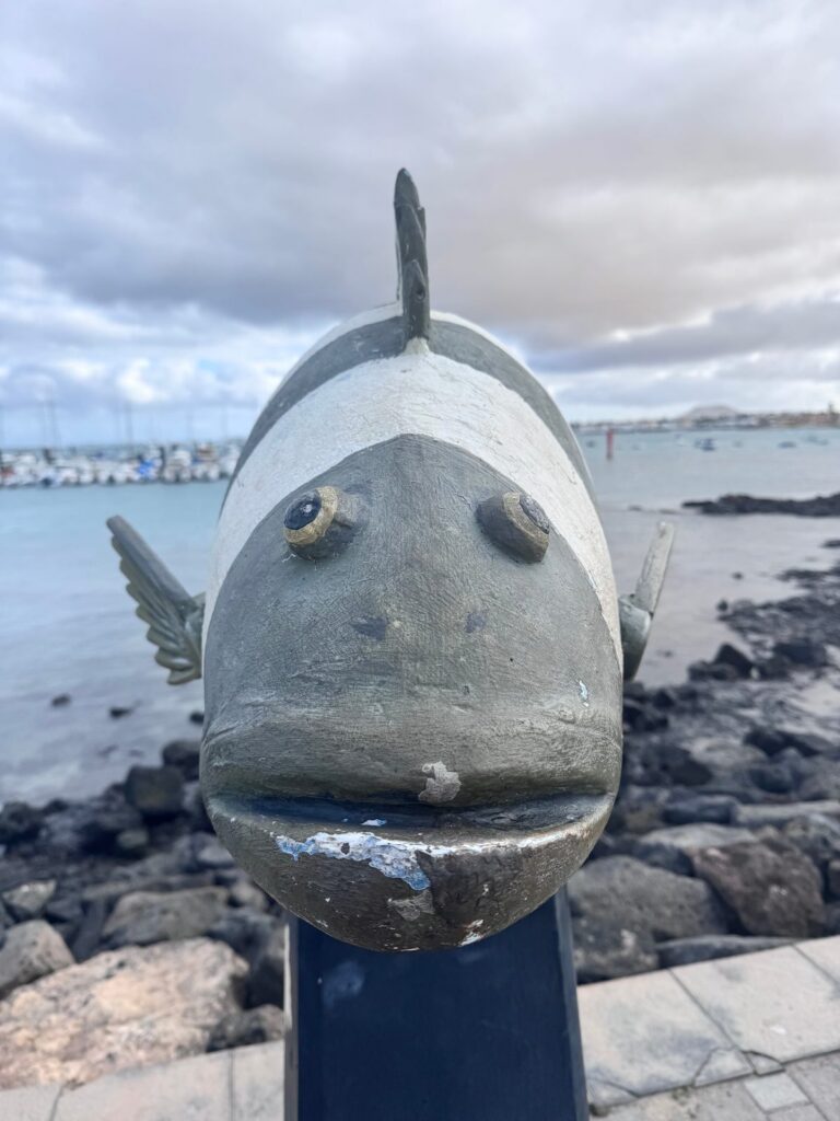 Bemalte Fischskulptur an einer Hafenpromenade auf Fuerteventura, dahinter Lavasteine und Boote