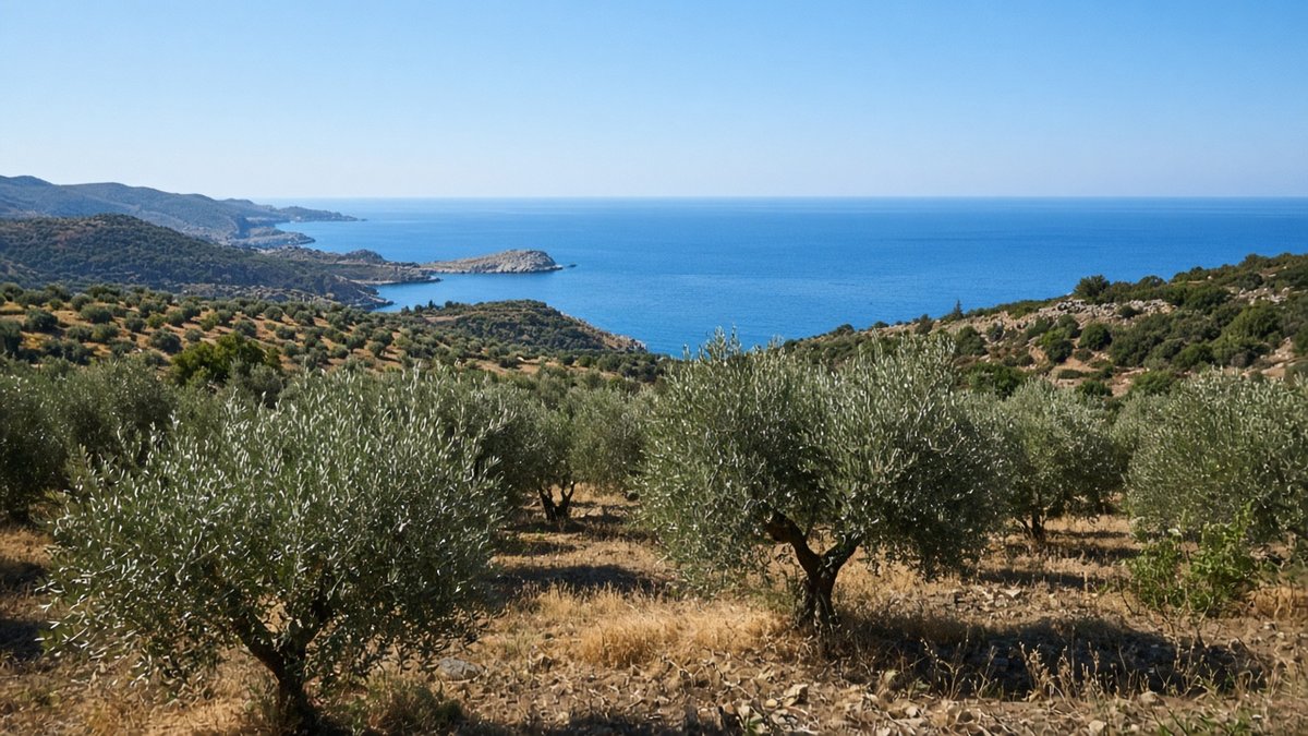 Griechische Olivenhaine an einem Hang über dem Meer (KI-generiert)